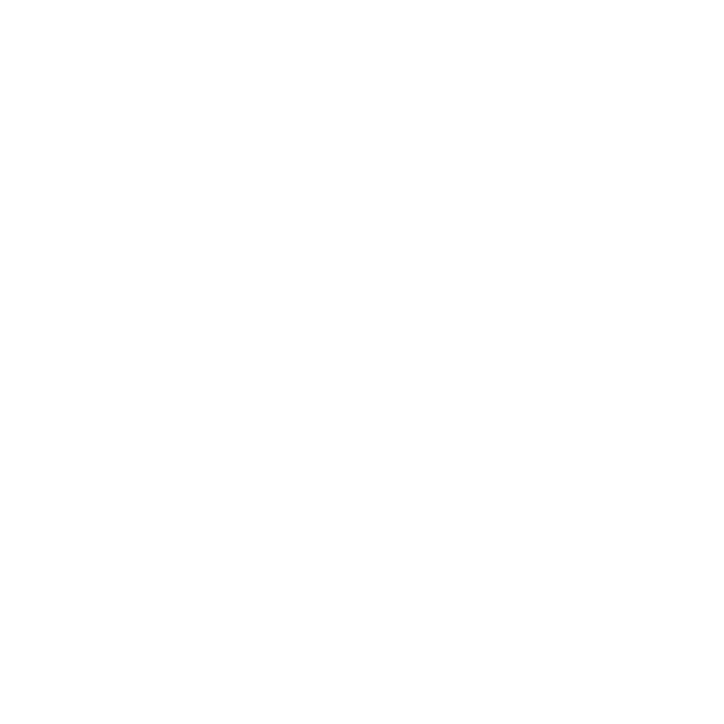 Icon Hospital leadership